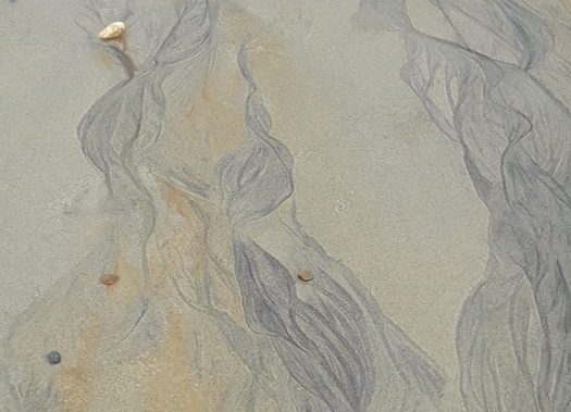 Scatto dell'autore delle tracce che acqua e vento lasciano sulla sabbia lungo le rive dell'oceano atlantico